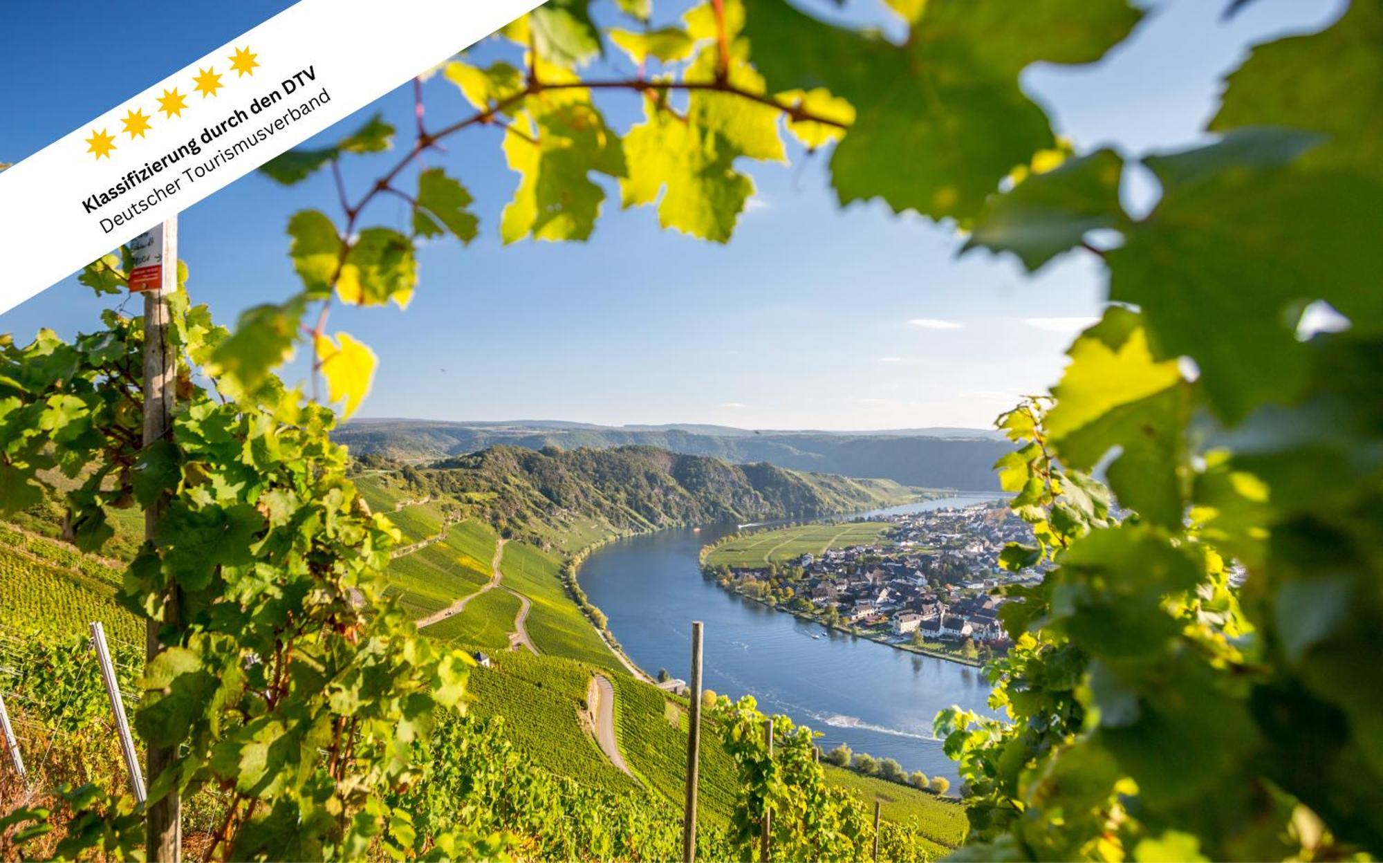 Apartmán Wohlfuehloase An Der Mosel Osann-Monzel Exteriér fotografie